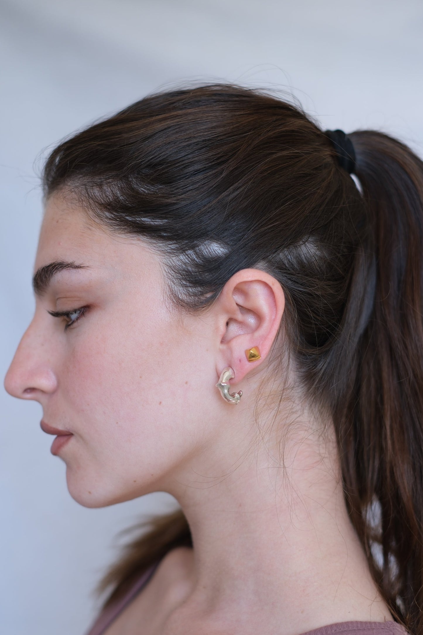 Jointed Hoops