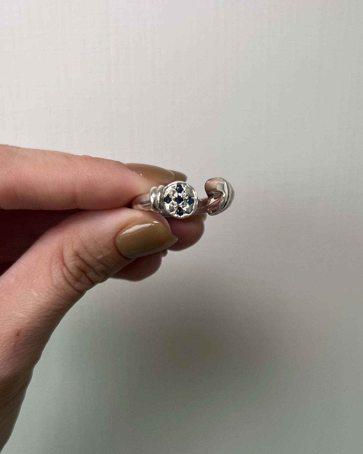 Sapphires Horse Hoof