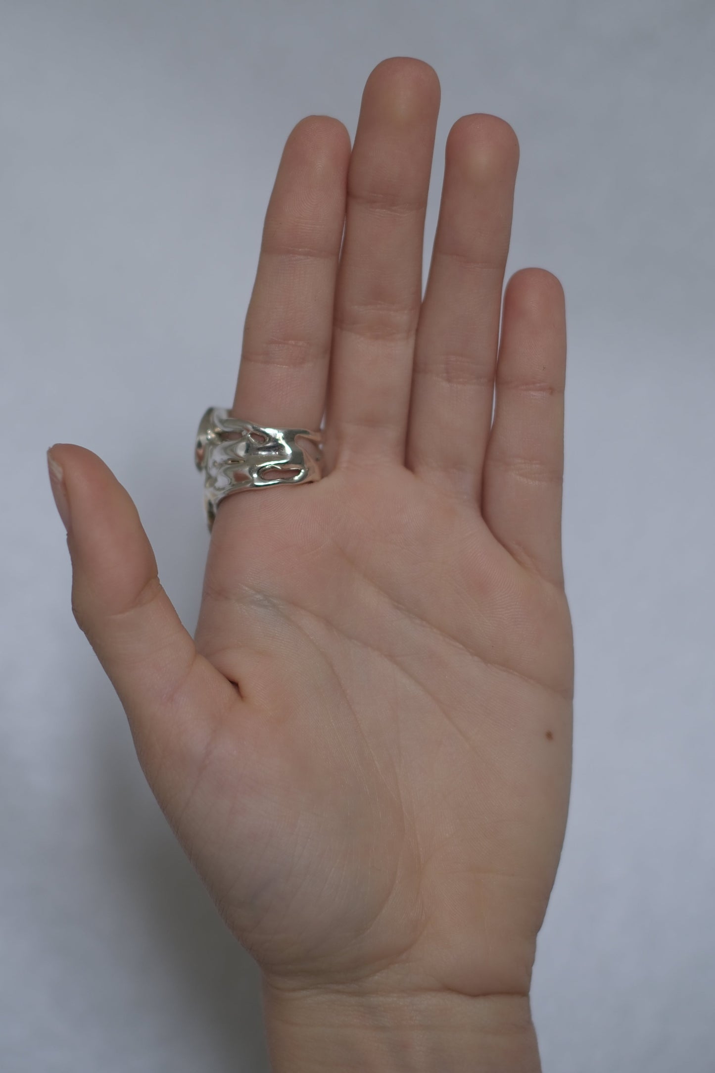 Horse with the Pearl Necklace 1/1