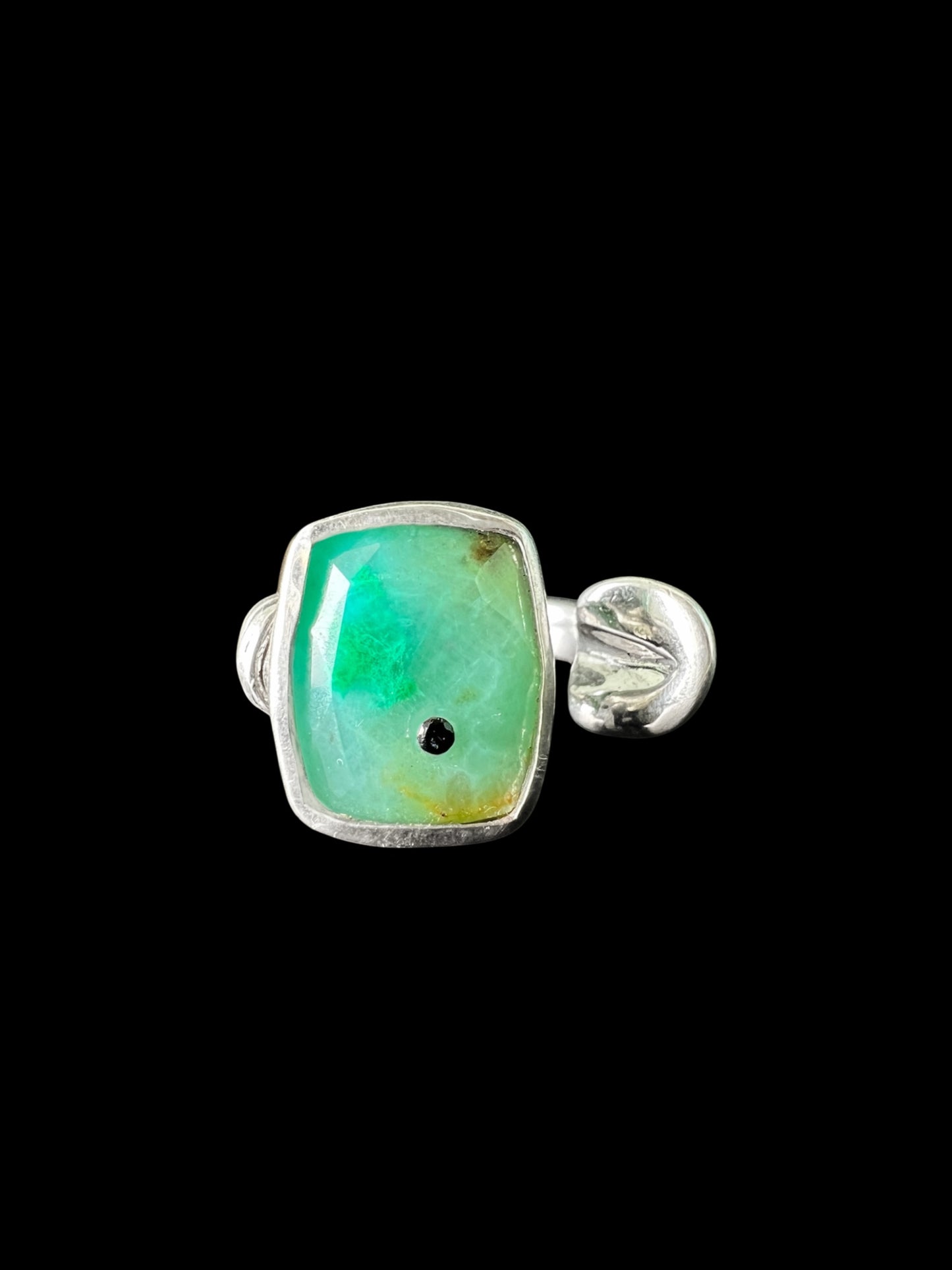 Chrysocolla Horse Hoof