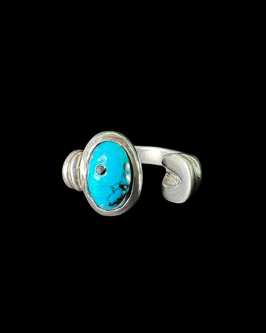 Turquoise Horse Hoof
