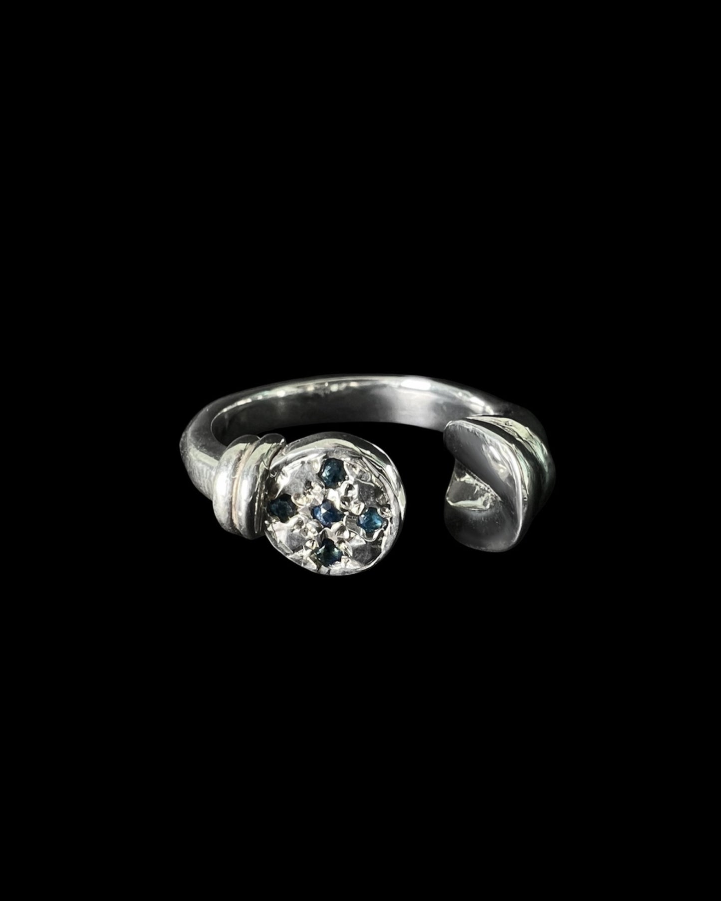 Sapphires Horse Hoof