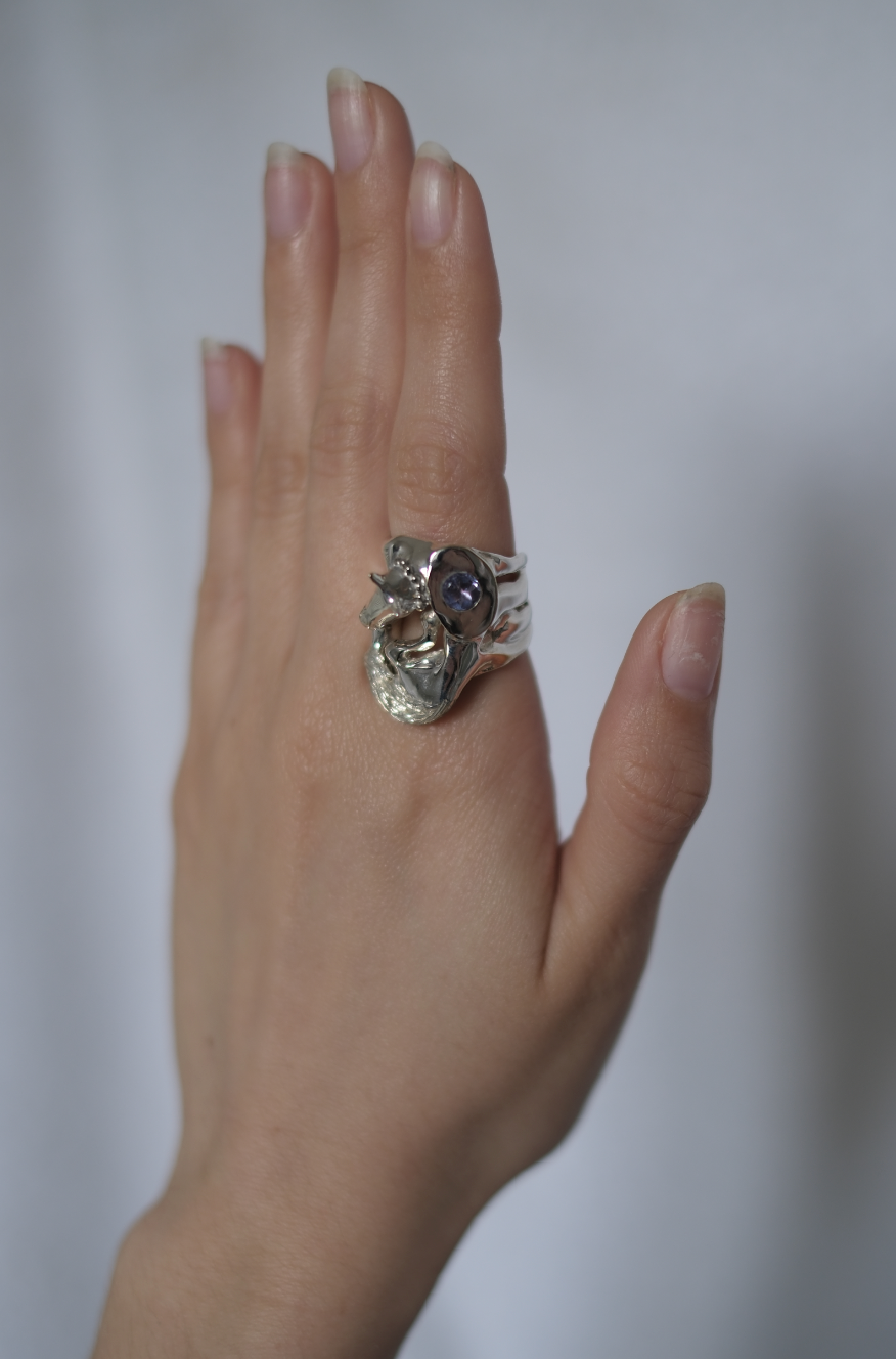 Horse with the Pearl Necklace 1/1