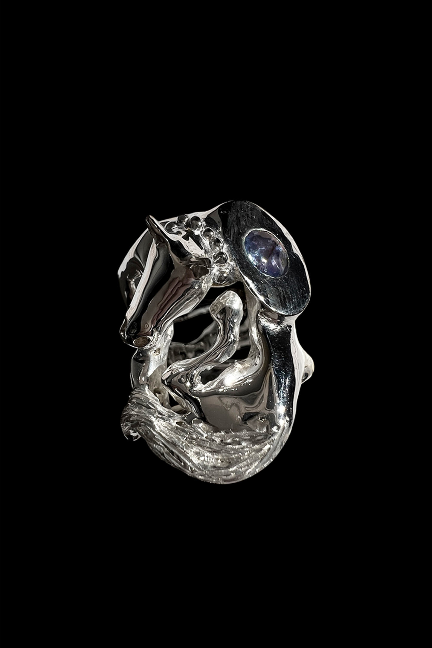 Horse with the Pearl Necklace 1/1